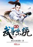 极品武尊系统